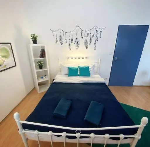 Boho - Cejl Brno